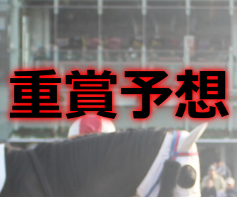 阪神ジュベナイルフィリーズ予想2020年｜過去３年のレース動画